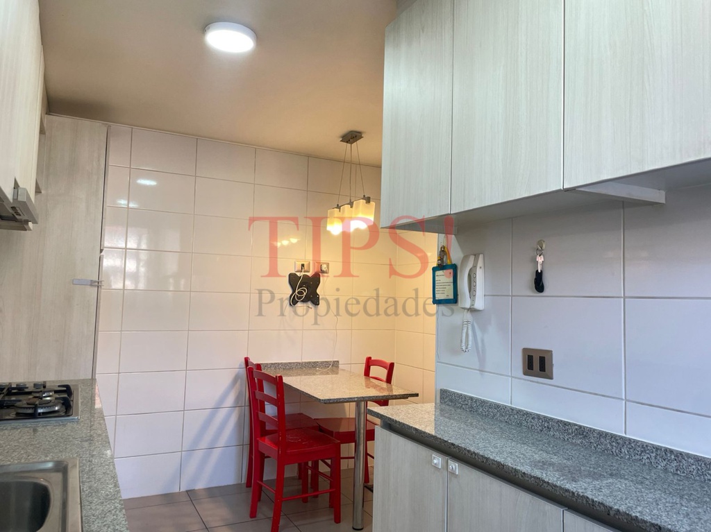 TIPSPROPIEDADES ARRIENDA DEPARTAMENTO EN PALQUI 2916, ÑUÑOA
