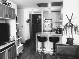 DEPARTAMENTO EN IRARRÁZAVAL 5353, ÑUÑOA